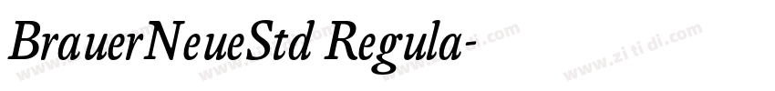 BrauerNeueStd Regula字体转换